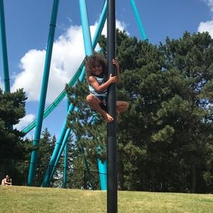 Meet your Posher, Bee